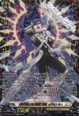 【FFR】清煌なる星霧騎士爵 セリウス