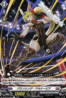 画像1: 【C】パウンシング・アルナービア