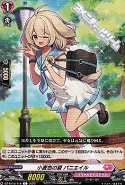 画像1: 【C】小麦色の夏 パニエイル