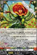 【T】ノブレスローズ “ローザロッサ”