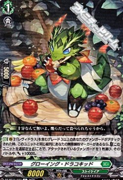 画像1: 【C】グローイング・ドラコキッド