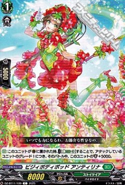 画像1: 【C】ビジィボディポッド アンティリナ