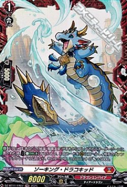 画像1: 【FR】ソーキング・ドラコキッド