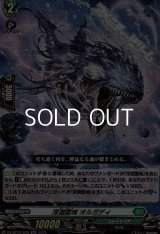 【RR】深淵霊域 オルガディ