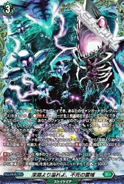 画像1: 【FR】深淵より溢れよ、不死の霊域