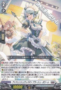 画像1: 【R】プッツェンシュヴェスタン ブラーシュ・ポリーレ