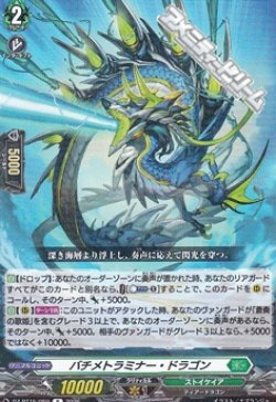 画像1: 【R】バチメトラミナー・ドラゴン