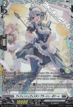 画像1: 【FR】プッツェンシュヴェスタン ブラーシュ・ポリーレ
