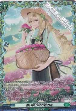 画像1: 【FR】舞い咲うは万彩の花
