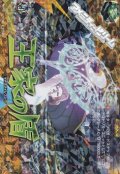 【IZR】王家の盾