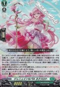 【RR】ジェニュインセパル ネクスロト