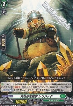 画像1: 【C】洞然の発掘家 レリドック