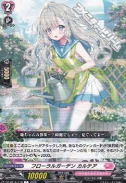 画像1: 【C】フローラルガーデン カルテア
