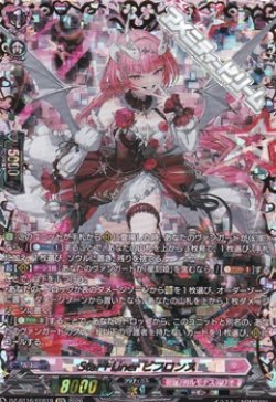 画像1: 【FFR】Star＋Liner ビフロンス
