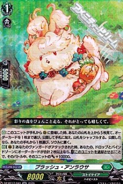 画像1: 【RR】プラッシュ・アンラウサ