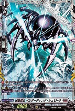 画像1: 【FR】凶星昂衆 イルボーディング・シュピーネ
