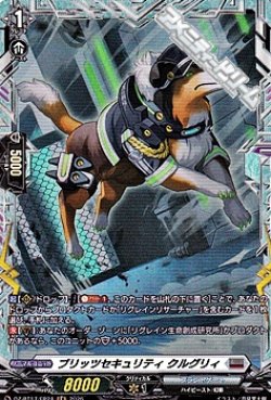 画像1: 【FR】ブリッツセキュリティ クルグリィ