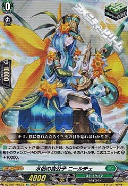 画像1: 【Re】水仙の貴公子 ニールチェ