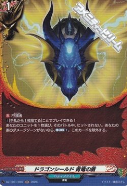画像1: 【H】ドラゴンシールド 青竜の盾