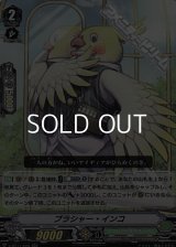 【RR】ブラシャー・インコ