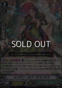 【PR】メイデン・オブ・ネペンテス