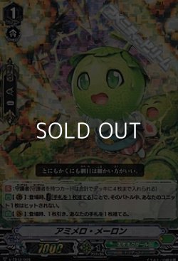 画像1: 【RRR仕様】アミメロ・メーロン
