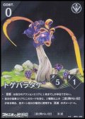 【★★】トゲバラタケ