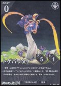 【★】トゲバラタケ