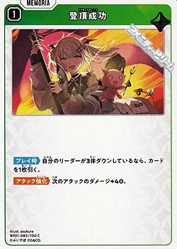 画像1: 【C】登頂成功