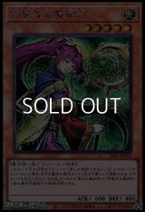 【シークレットレア】神聖なる魔術師