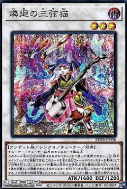 画像1: 【シークレットレア】燐廻の三弦猫