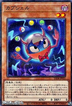 画像1: 【パラレル】カプシェル