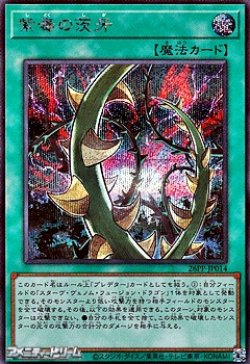 画像1: 【シークレットレア】紫毒の茨牙