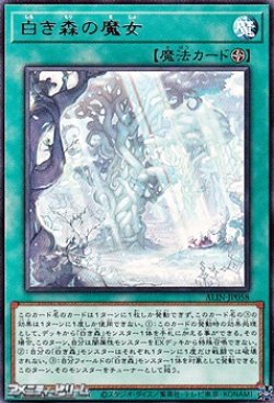 画像1: 【レア】白き森の魔女