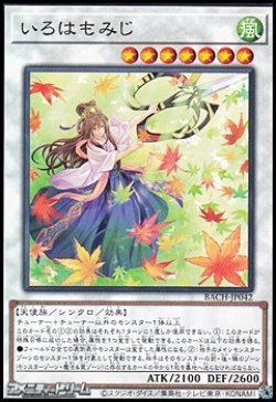 画像1: 【ノーマル】いろはもみじ