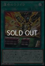 【ノーマル】運命のウラドラ