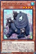 【ノーマル】グリズリーファザー