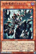 【スーパーレア】血樹竜姫ドラセレア