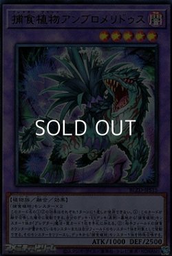 画像1: 【ウルトラレア】捕食植物アンブロメリドゥス