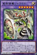 【レア】星辰鋏竜シャウラス
