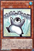 【ノーマル】ファースト・ペンギン