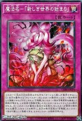 【ノーマル】魔法名－「新しき世界の始まり」