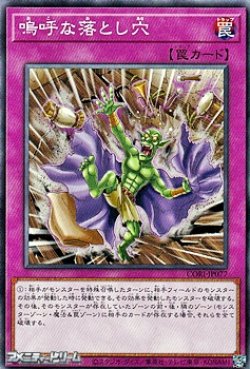 画像1: 【ノーマル】嗚呼な落とし穴