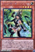 【シークレットレア】セネトの啓示者－ネフェルタリ