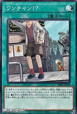 画像1: 【ノーマル】ワンチャン！？