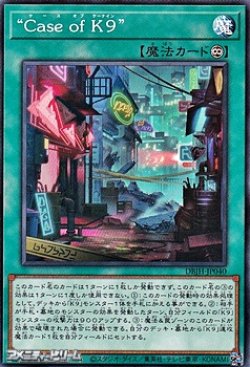 画像1: 【ノーマル】"Case of K９"