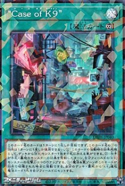 画像1: 【パラレル】"Case of K９"