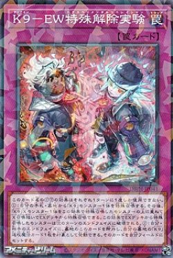 画像1: 【パラレル】K9－EW特殊解除実験