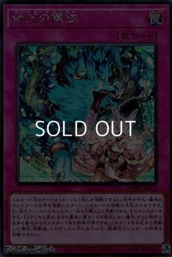 画像1: 【シークレットレア】命王の螺旋