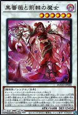 画像1: 【スーパーレア】黒薔薇と荊棘の魔女